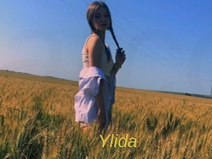 ylida Archive DVD ORG