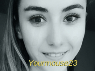 Yourmouse23