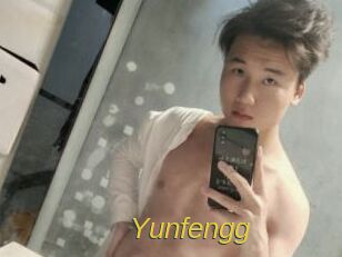 Yunfengg