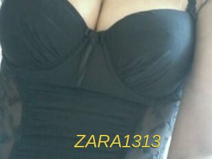 ZARA1313