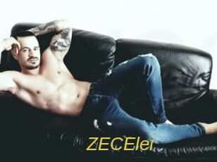 ZECElei