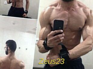 Zeus23