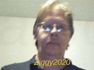 Ziggy2020