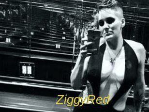 ZiggyRed