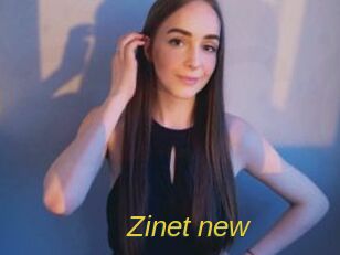 Zinet_new