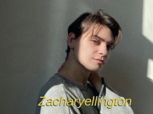 zacharyellington Archive DVD ORG