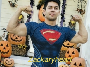 zackaryheart Archive DVD ORG