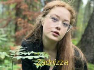 Zadnizza