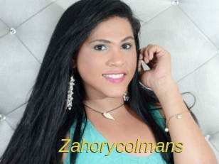 zahorycolmans Archive DVD ORG