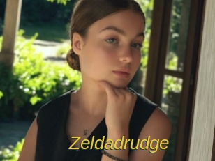 Zeldadrudge