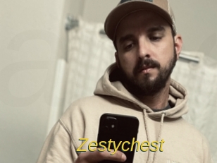 Zestychest