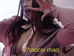 Zhaocai_mao