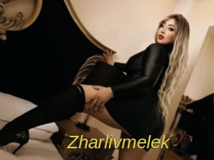zharlivmelek Archive DVD ORG