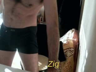 zig Archive DVD ORG