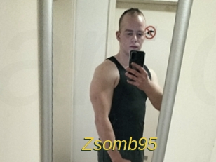 Zsomb95