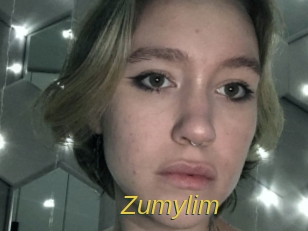 zumylim Archive DVD ORG